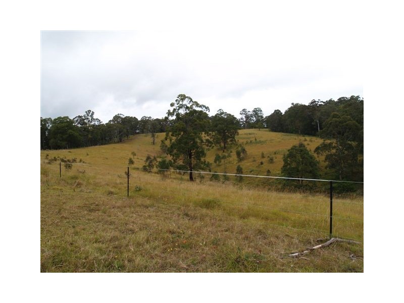 702d Comboyne Road, Byabarra NSW 2446