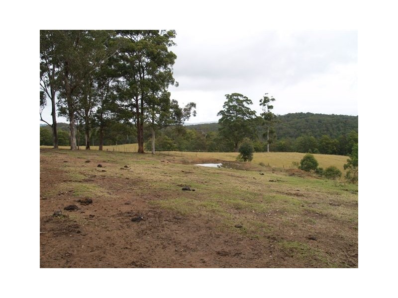 702d Comboyne Road, Byabarra NSW 2446