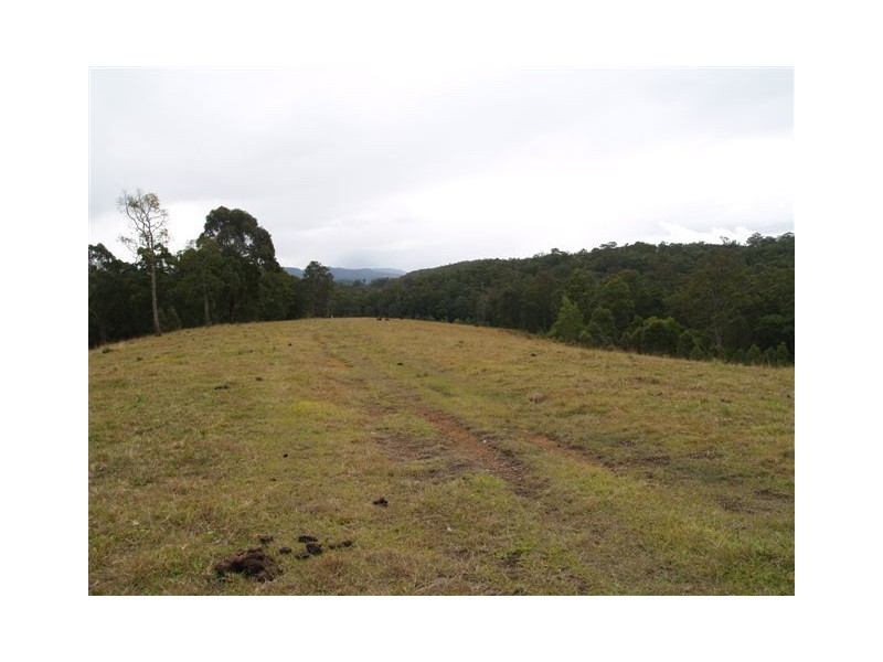 702d Comboyne Road, Byabarra NSW 2446