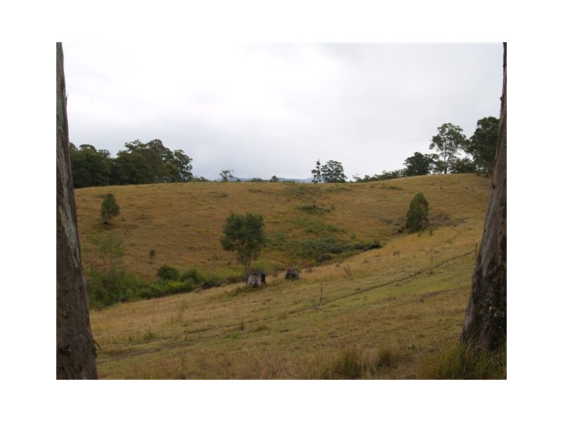 702d Comboyne Road, Byabarra NSW 2446