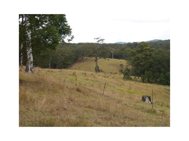 702d Comboyne Road, Byabarra NSW 2446