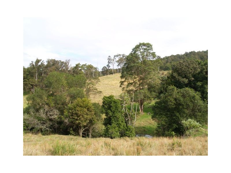 702d Comboyne Road, Byabarra NSW 2446