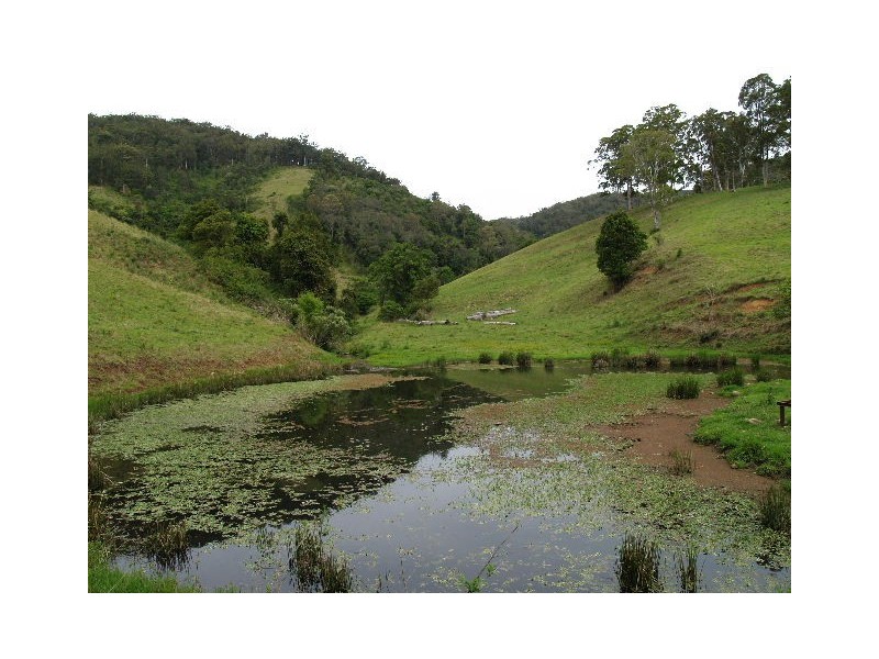 169 and 170 Toms Creek Road, Ellenborough NSW 2446