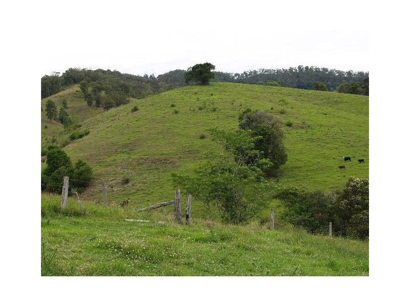 169 and 170 Toms Creek Road, Ellenborough NSW 2446