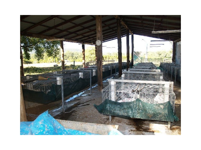 466 Upper Rollands Plains Road, Rollands Plains NSW 2441