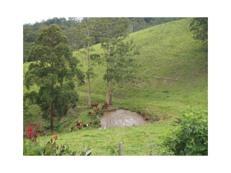 481 Ponsford Road, Comboyne NSW 2429