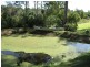 37 Cowarra Close, Wauchope NSW 2446