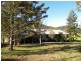 982 Pappinbarra Rd, Pappinbarra NSW 2446