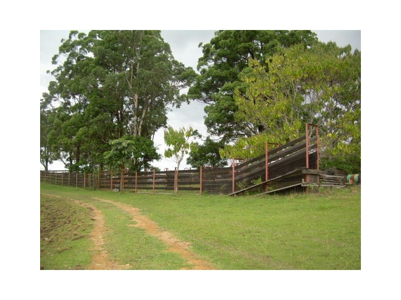 164 Sharkeys Road, Bellangry NSW 2446