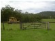 164 Sharkeys Road, Bellangry NSW 2446