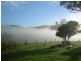 164 Sharkeys Road, Bellangry NSW 2446