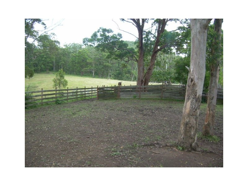 164 Sharkeys Road, Bellangry NSW 2446