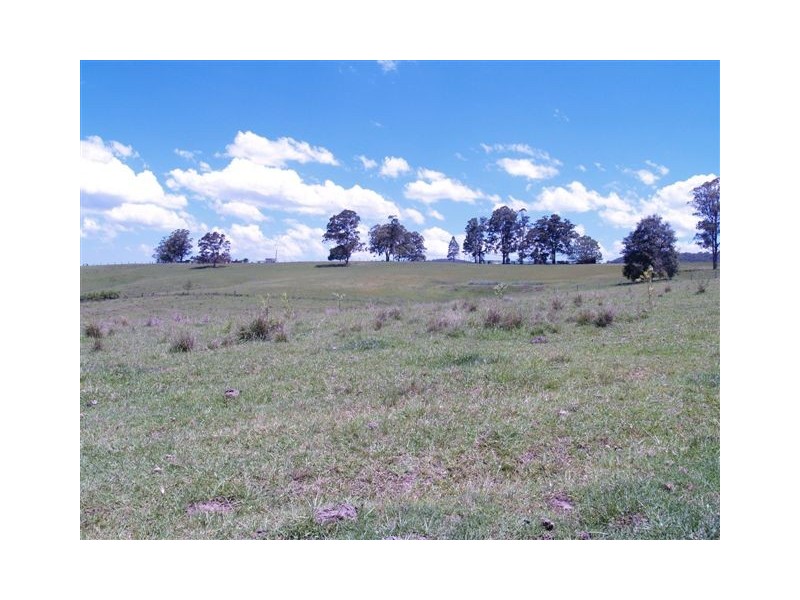 Block 2 /164 Sharkeys Road, Bellangry NSW 2446