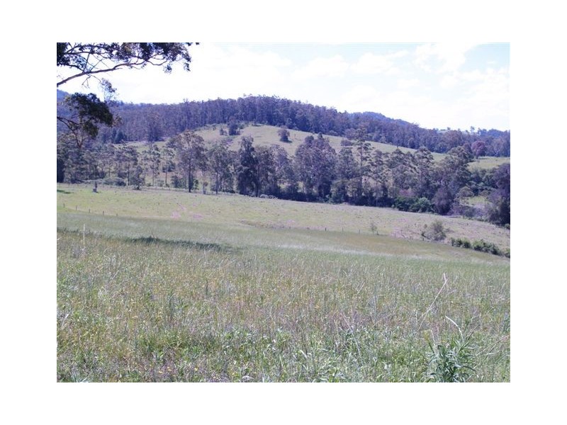Block 2 /164 Sharkeys Road, Bellangry NSW 2446