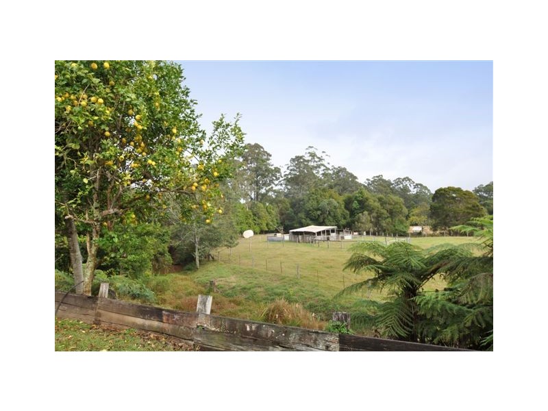 157 Gum Scrub Rd, Gum Scrub NSW 2441