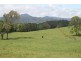 870 Comboyne Road, Byabarra NSW 2446