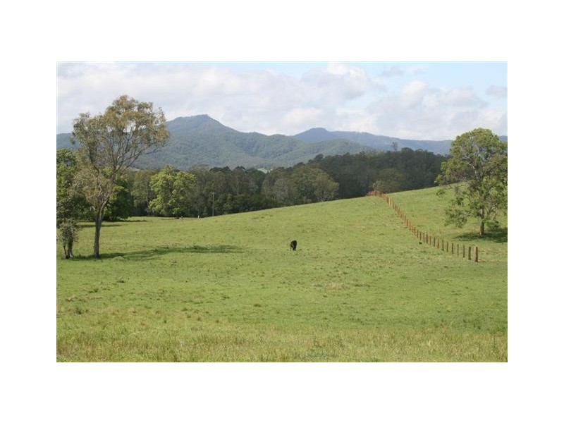 870 Comboyne Road, Byabarra NSW 2446