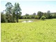 870 Comboyne Road, Byabarra NSW 2446