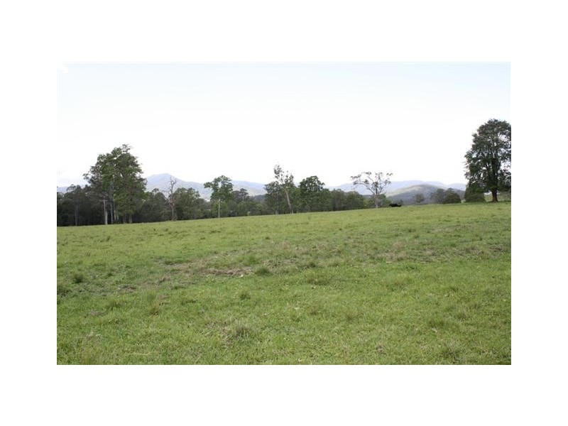870 Comboyne Road, Byabarra NSW 2446
