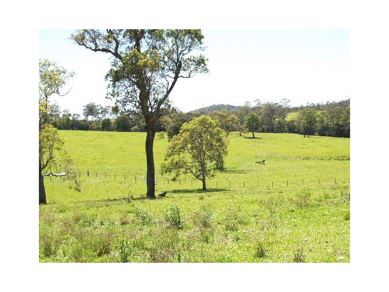 870 Comboyne Road, Byabarra NSW 2446