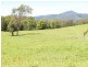 870 Comboyne Road, Byabarra NSW 2446