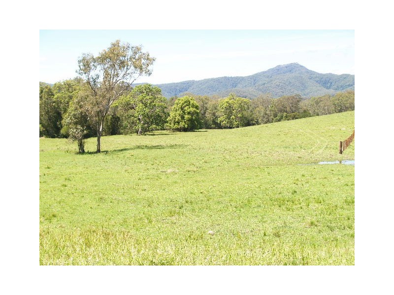 870 Comboyne Road, Byabarra NSW 2446