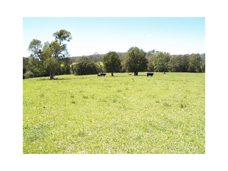 870 Comboyne Road, Byabarra NSW 2446