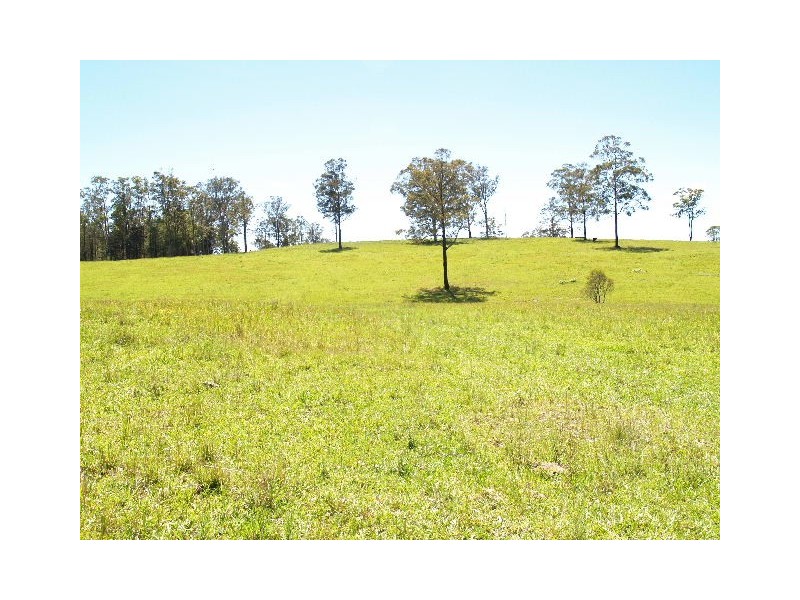 870 Comboyne Road, Byabarra NSW 2446