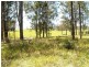 870 Comboyne Road, Byabarra NSW 2446