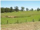 870 Comboyne Road, Byabarra NSW 2446