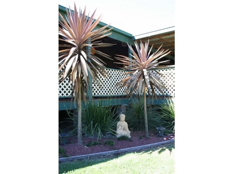 740 Forbes River Road, Birdwood NSW 2446