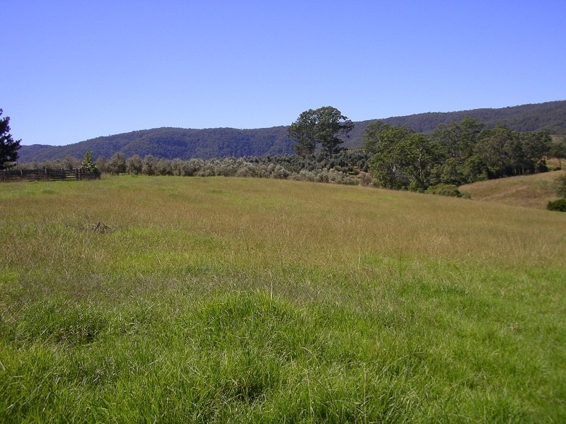 740 Forbes River Road, Birdwood NSW 2446