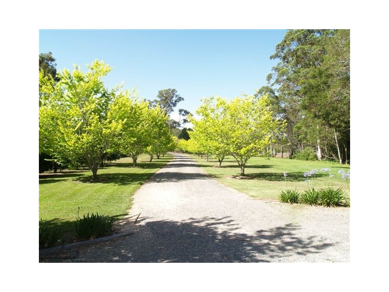 1 Morilla Place, Beechwood NSW 2446