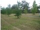 Lot 22 Rawdon Island Rd, Wauchope NSW 2446