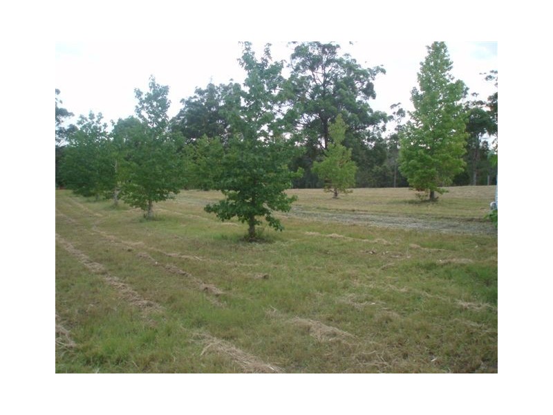Lot 22 Rawdon Island Rd, Wauchope NSW 2446