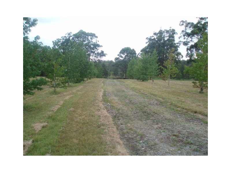 Lot 22 Rawdon Island Rd, Wauchope NSW 2446