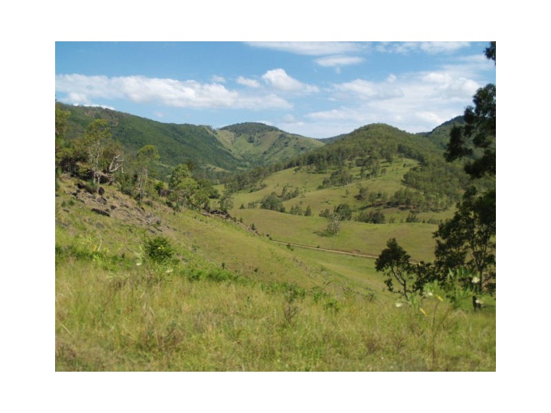 130 Old Highway, Mount Seaview NSW 2446