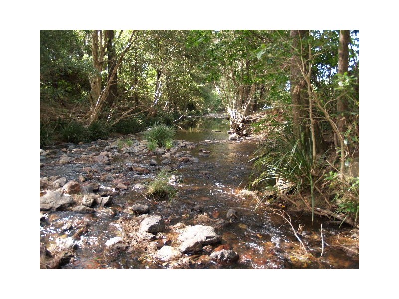 130 Old Highway, Mount Seaview NSW 2446