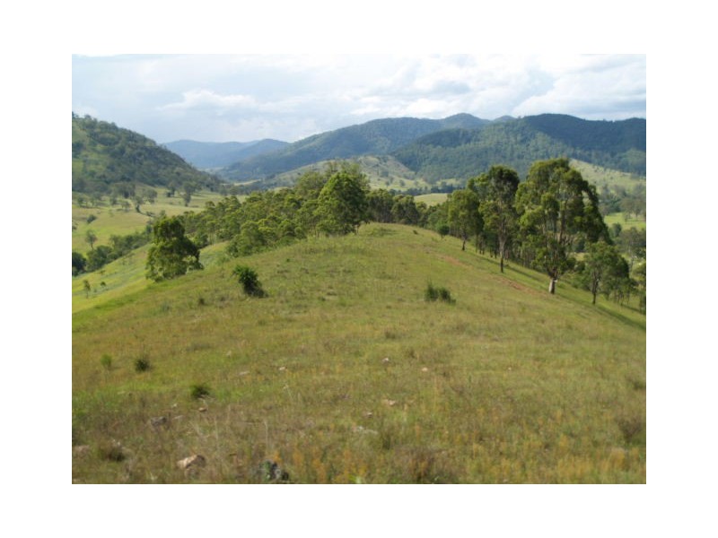 130 Old Highway, Mount Seaview NSW 2446