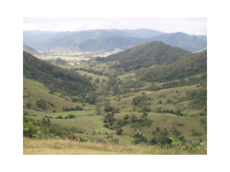 130 Old Highway, Mount Seaview NSW 2446