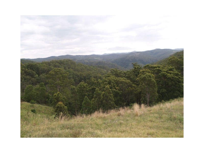 130 Old Highway, Mount Seaview NSW 2446