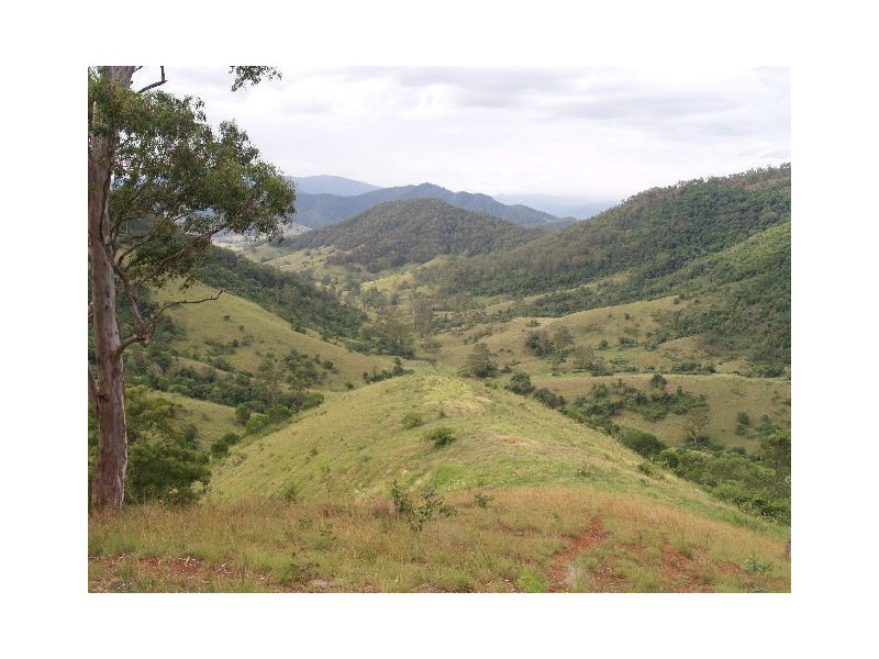 130 Old Highway, Mount Seaview NSW 2446