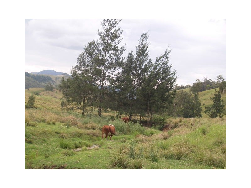 130 Old Highway, Mount Seaview NSW 2446