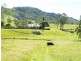 458  Bunnoo River Rd, Ellenborough NSW 2446