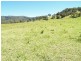458  Bunnoo River Rd, Ellenborough NSW 2446