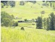 458  Bunnoo River Rd, Ellenborough NSW 2446