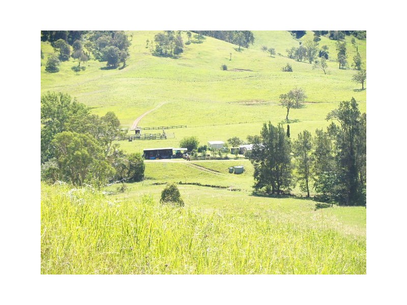 458  Bunnoo River Rd, Ellenborough NSW 2446