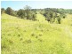 458  Bunnoo River Rd, Ellenborough NSW 2446