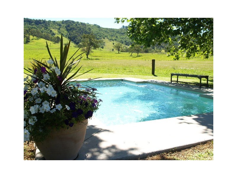 458  Bunnoo River Rd, Ellenborough NSW 2446