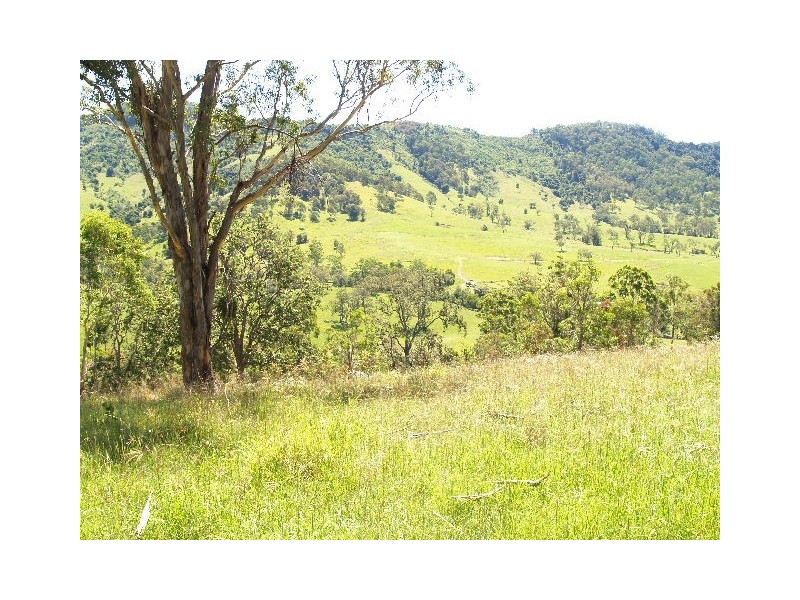 458  Bunnoo River Rd, Ellenborough NSW 2446